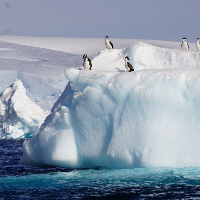 Unique landscapes and wildlife await guests