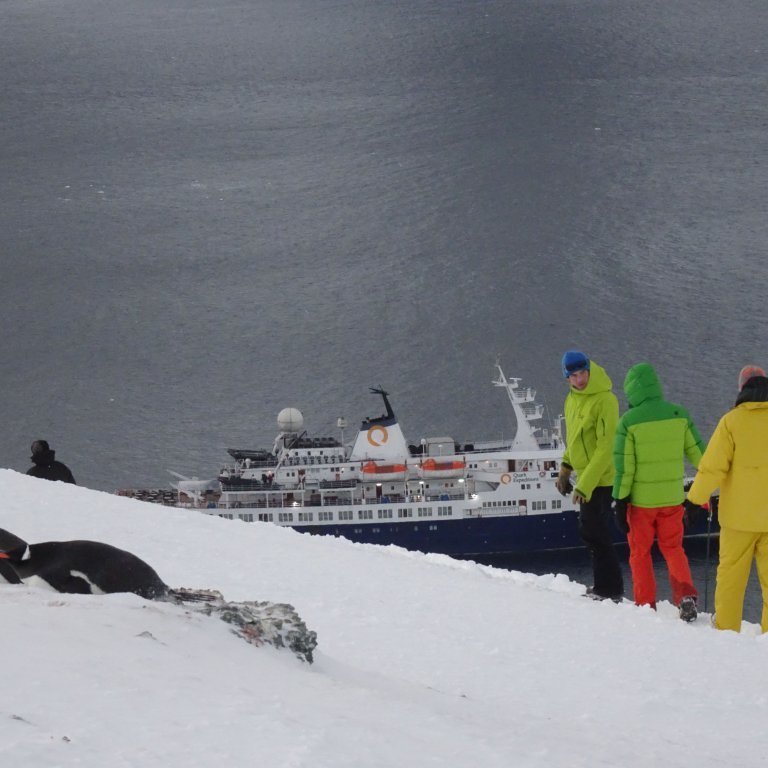 Guests on a shore excursion to check out the penguins