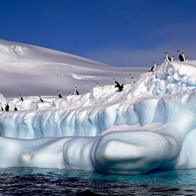 Unique landscapes and wildlife await guests