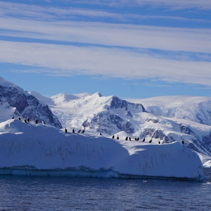 Unique landscapes and wildlife await guests
