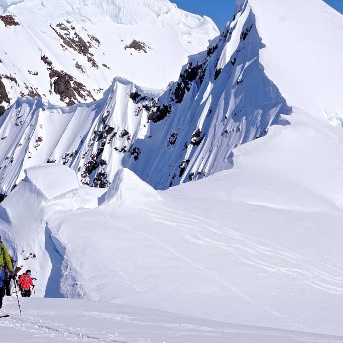 Fresh tracks on a bluebird day