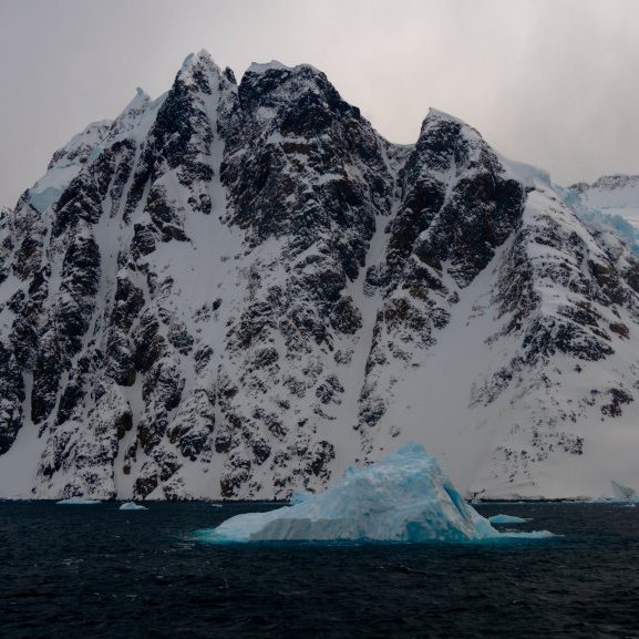 Cruise through a sea of stunning blue icebergs