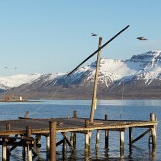 eastjfords_ski_tour_10