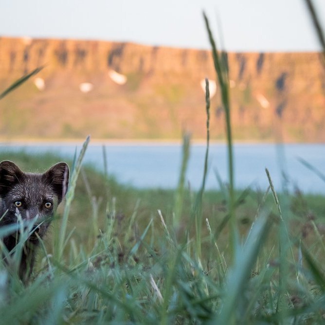 westfjords_lostfjords_02