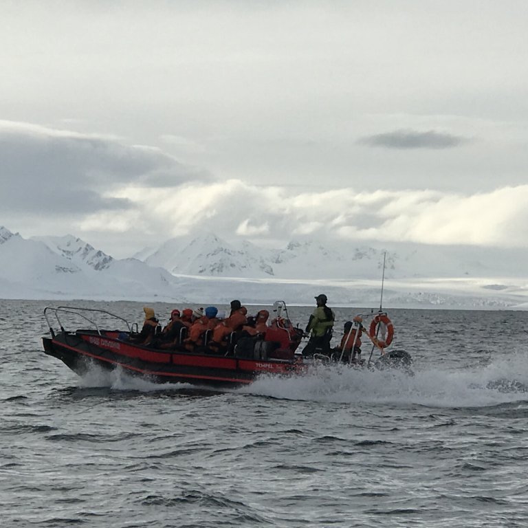 Rib sailing in Isfjord