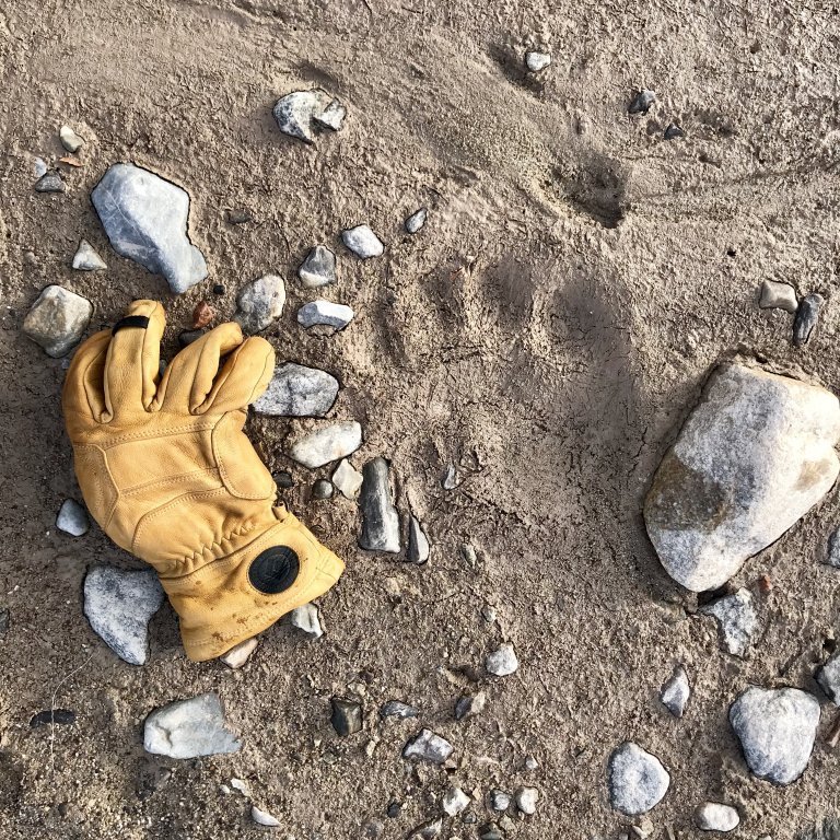 A glove for perspective